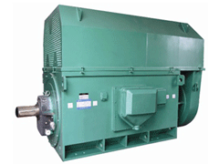 赫山Y系列6KV高压电机